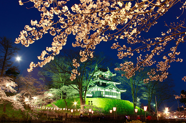 高田公園（日本三大夜桜）